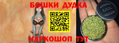 крисы Пенза