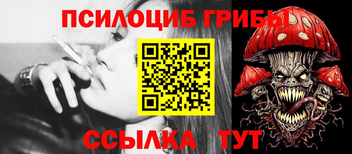 Псилоцибиновые грибы Cubensis  Вход с VPN  Тобольск 